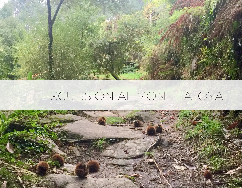 Excursión al Monte Aloya – Vigo