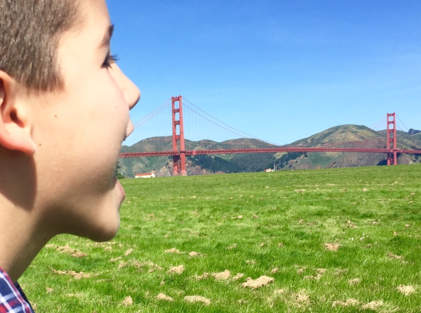 Qué Ver En San Francisco – 10 Planes Para Hacer Con Niños